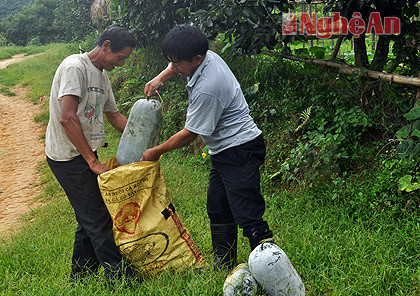 Anh Nguyễn Văn An (bên phải) - một trong 12 người đầu tiên lên khai hoang ở Tổng đội 8 với mùa thu hoạch bí cho năng suất cao