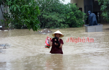 Nước ngập đến nửa người.