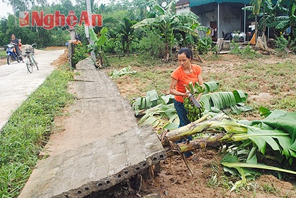 Nhiều tường rào của người dân xã Nghĩa Thuận bị sập do nước lũ.