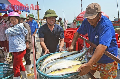 Ngư dân đánh bắt được nhiều loại cá có giá trị cao .