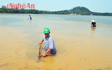 Người dân xã Thanh Lương, huyện Thanh Chương dầm mình trong nước để nhủi cua