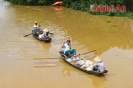 Người dân xã Hưng Lợi, huyện Hưng Nguyên đi đánh cá mùa nước lũ. 