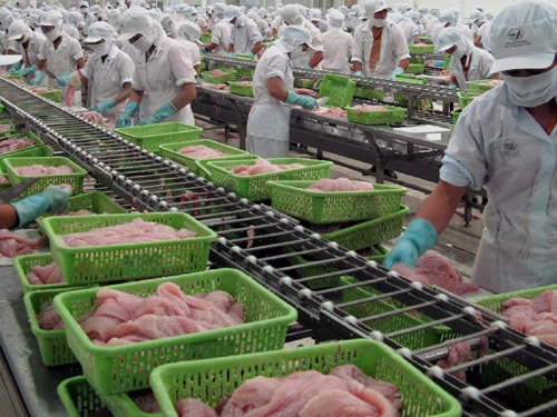 XK cá tra sang Châu Âu trong thời gian tới rất có thể thị trường này sẽ phục hồi vị trí nhập khẩu số 1