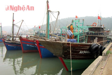 Các phương tiên tàu thuyền đang về nơi tránh bão ở cảng Lạch Quèn.