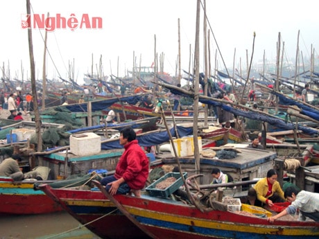 Các phương tiện tàu thuyền tránh bão ở cảng Lạch Quèn. Ảnh: V.H