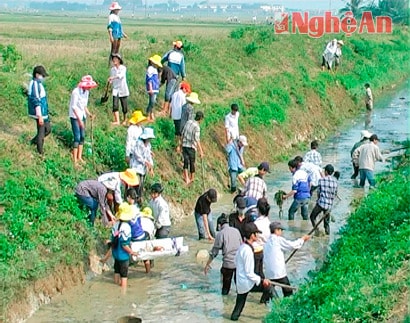 Học sinh Trường THPT Quỳnh Lưu 2 ra quân làm giao thông thủy lợi, nạo vét kênh mương