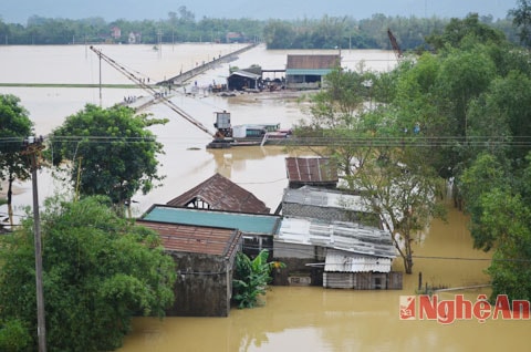 Nước lũ ngập nhà dân ở xã Hưng Nhân, huyện Hưng Nguyên