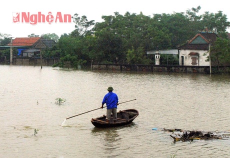 Rốn lũ xã Nam Cường, huyện Nam Đàn