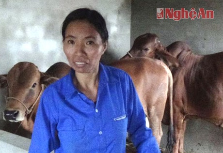 Người dân sống trong tình cảnh “Người sống cùng bò”