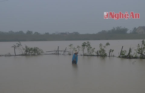 Nước lũ cộng với gió mùa đông bắc khiến người dân vùng ngập gặp nhiều khó khăn.