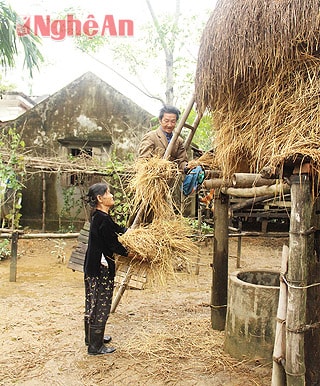 Gia đình ông Trần Văn Hòe cùng 76 hộ dân xóm 7-Hưng Lợi đều xây cây rơm cao nên lụt vào không bị ngập thức ăn cho trâu bò