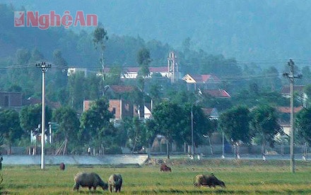 Một góc xã Nghi Phương.