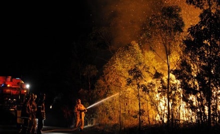 Dập cháy rừng ở Australia vào ban đêm. Ảnh: CNN