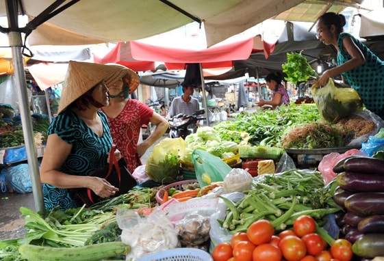 Dù nguồn cung rau củ vẫn dồi dào nhưng giá rau củ tại các chợ tăng với lý do mưa bão. Ảnh minh họa