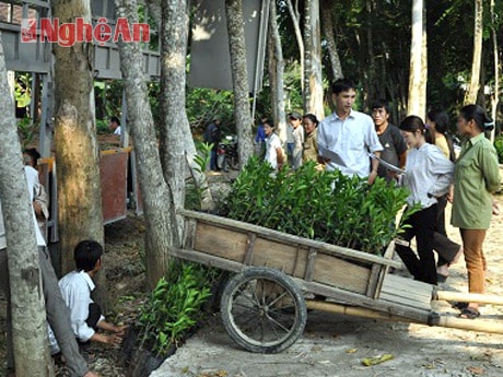 Cùng với giống do Trạm khuyến nông cung cấp, người dân còn được huyện cung ứng giống cam để trồng theo quy hoạch.