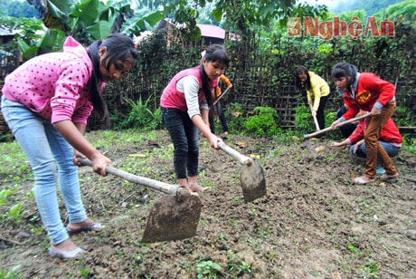 Học sinh tranh thủ lao động tăng gia.