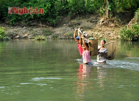 Gùi măng qua suối.