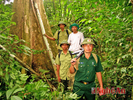 Đồn BP Châu Khê (Con Cuông) phối hợp với Hạt kiểm lâm VQG Pù Mát tuần tra biên giới và bảo vệ rừng.