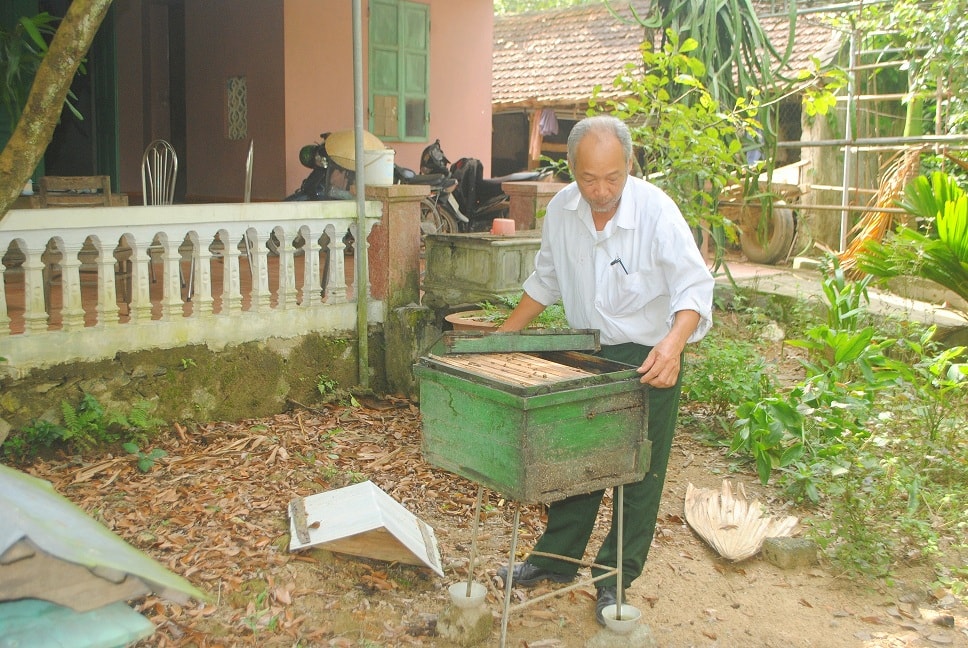 Ông Đặng Quang Mai chăm lo chuồng ong của gia đình