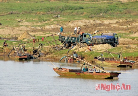 Ngang nhiên khai thác cát trái phép dưới chân cầu Hiếu