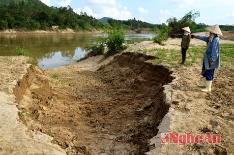 Đất canh tác của người dân làng Bồi bị sạt lở từng ngày.