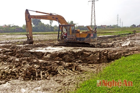 Làm giao thông nội đồng ở Diễn Châu.