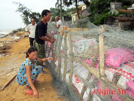 Người dân ở phường Quỳnh Phương, TX Hoàng Mai xây những chiếc kè tạm để chắn sóng giảm thiệt hại từ cơn bão hủy diệt