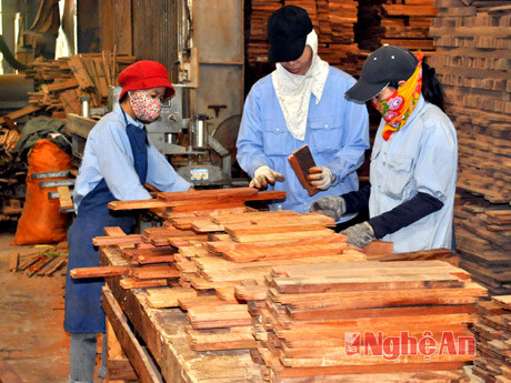 Sản xuất ván sàn xuất khẩu tại doanh nghiệp tư nhân Song Thắng (KCNN Nghi Phú – TP.Vinh)