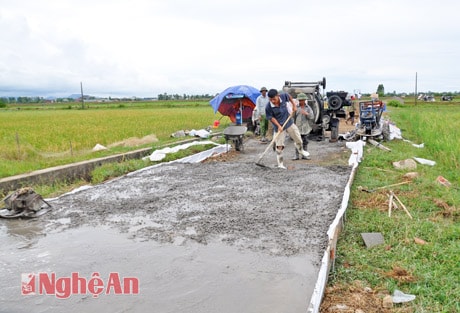 Làm giao thông nội đồng ở xã Hưng Hòa (Thành phố Vinh). Ảnh: Khánh Ly