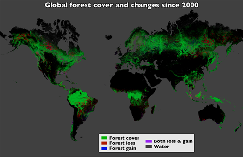 Bản đồ thay đổi diện tích rừng từ năm 2000. Đồ họa: NASA