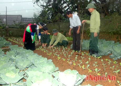 Đội sản xuất 1 – Đoàn KT – QP 4 hướng dẫn bà con bản Ka Dưới, xã Na Ngoi  trồng rau sạch.