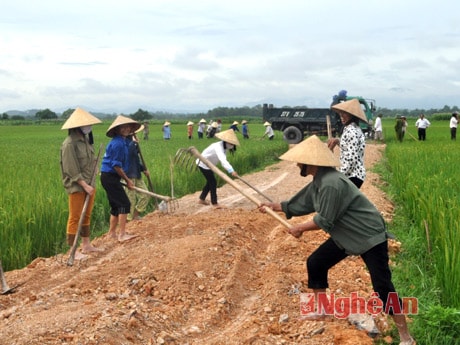 Người dân xóm Trường Tiến (Hùng Tiến, Nam Đàn) làm giao thông nội đồng theo tiêu chí nông thôn mới.