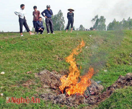 Cơ quan chức năng đang tiến hành tiêu hủy số lượng gia cầm và trứng gà không có nguồn gốc.