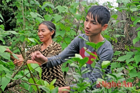 Chị An và con trai chăm sóc vườn rau.