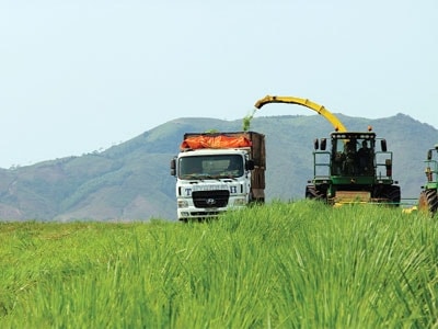  Không đầu tư công nghệ, không có nguồn sữa tốt.