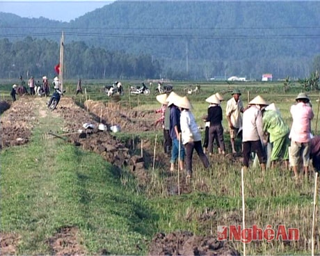 Nông dân Nghi Lâm ra quân làm giao thông thuỷ lợi nội đồng gắn với dồn điền, đổi  thửa.