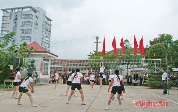 Thi đấu bóng chuyền.