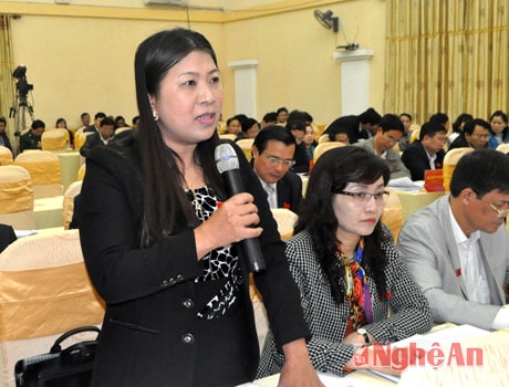 Đại biểu Nguyễn Thị Quỳnh Nga nêu một số vấn đề.