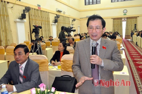 Đại biểu Đinh Viết Hồng giải đáp các vấn đề mà đại biểu quan tâm.