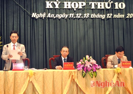 Phó Chủ tịch HĐND tỉnh kết luận tại phiên thảo luận tổ