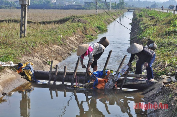  Nông dân xã Châu Kim khơi thông dòng chảy, đưa nước về ruộng.