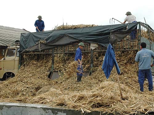 Rác thải có thể cung cấp một nguồn điện rất lớn