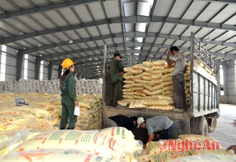 Công ty Vật tư nông nghiệp chuẩn bị phân bón cung ứng cho vụ xuân. Ảnh: Mai Hoa