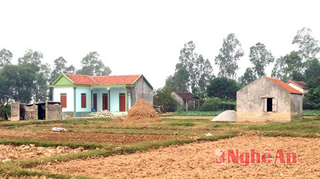 Những ngôi nhà xây trái phép trên đất nông nghiệp ở xã Quỳnh Lập. 