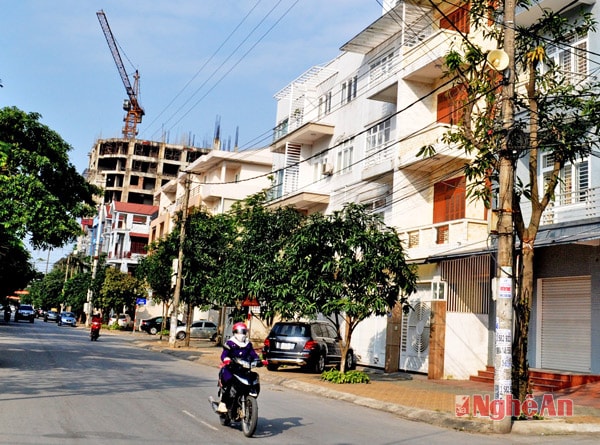 Phía Đông đường Trần Quang Diệu (Thành phố Vinh).