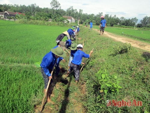 Thanh niên vùng giáo Nam Lộc (Nam Đàn) làm thủy lợi nội đồng.