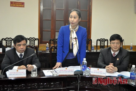 Đồng chí Đinh Thị Lệ Thanh - Phó Chủ tịch UBND tỉnh phát biểu tại cuộc họp