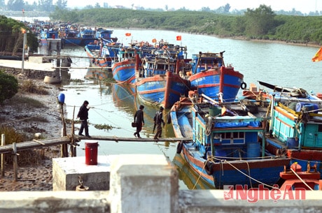 Các tàu cá thuộc Nghiệp đoàn nghề cá xã Diễn Bích đang đậu tại lạch Diễn Kim chờ ra khơi.