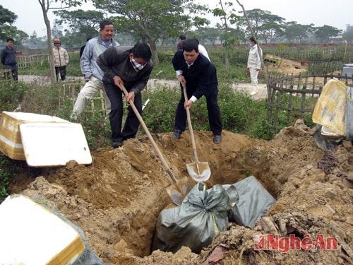 Tổ chức tiêu hủy 400kg nội tạng động vật