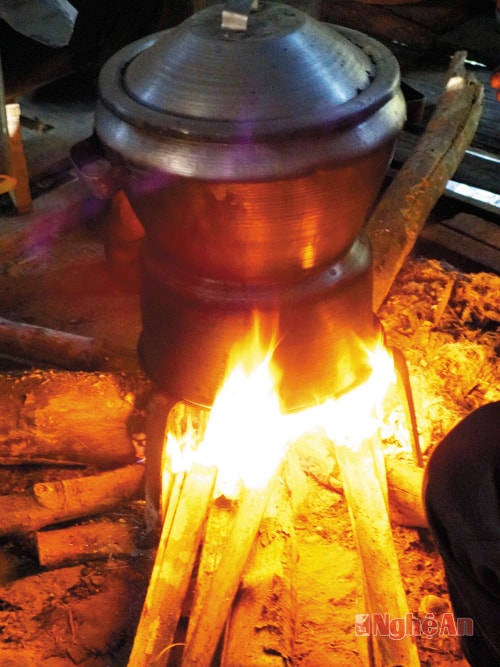 Chế biến Rêu